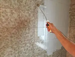 Paint bathroom tiles photo