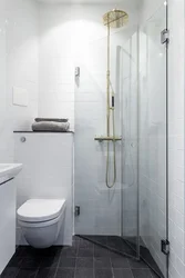 Дизайн узкой ванной комнаты с туалетом и душевой