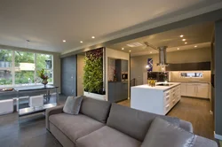 Дизайн домов внутри гостиная и кухня