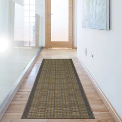 Carpet in the hallway in the interior