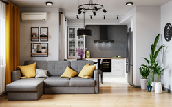 Interior of a small living room combined with kitchen