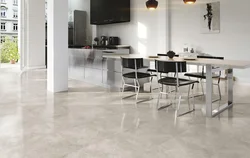 Kitchens with porcelain stoneware floors photo