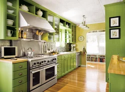 Olive Color Combination In The Kitchen Interior Photo