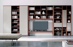 Bookcase in the living room interior photo in a city apartment