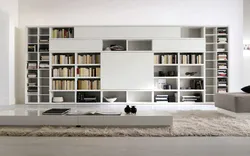 Bookcase In The Living Room Interior Photo In A City Apartment