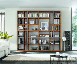 Bookcase In The Living Room Interior Photo In A City Apartment