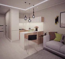 Design Of A Small Kitchen With A Living Room