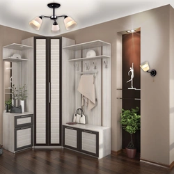 Hallway interior design with corner wardrobe