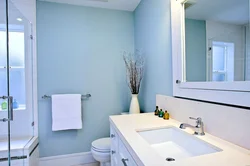 Bathroom renovation with paint photo