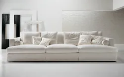 Fashionable Sofas In The Living Room Photo