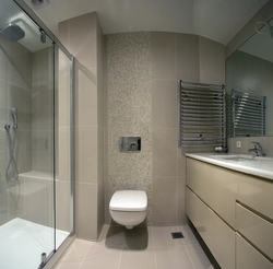 Duş və tualet fotoşəkili olan bir banyonun daxili dizaynı