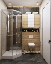 Душ пен дәретхана бар ванна бөлмесінің интерьер дизайны