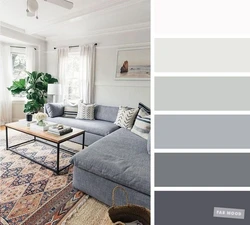 Сочетание серого в интерьере с другими цветами в гостиной фото