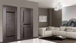 Living room design photo with dark doors