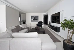 Living Room In Black And White Colors Photo