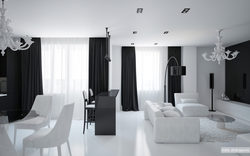 Living room in black and white colors photo