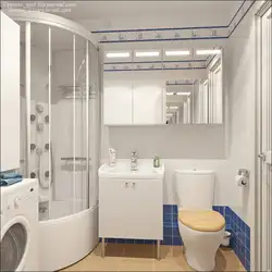 Design Of Small Baths With A Shower Combined With A Toilet Photo