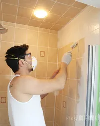 Paint Bathroom Tiles With Your Own Hands Before And After Photos