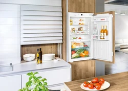 Морозильник и холодильник на кухне фото