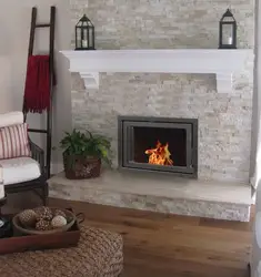 Decorative fireplaces in the living room interior photos with your own