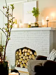 Decorative fireplaces in the living room interior photos with your own