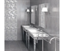 Silver Bathroom Photo