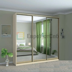 Samples of wardrobes photos for the bedroom with a mirror