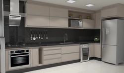 Examples of kitchens with built-in appliances photo design