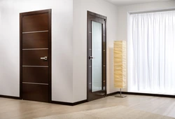 How to choose the right color for interior doors in the interior of an apartment