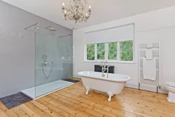 Clawfoot bathtub in room interior