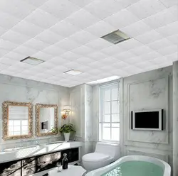 Cassette Ceiling In The Bath Photo