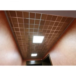 Cassette ceiling in the bath photo