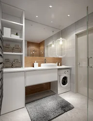 Bath And Kitchen In One Room Photo