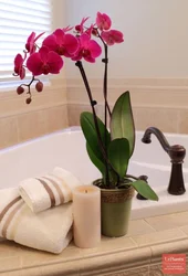 Искусственные цветы в ванной комнате фото