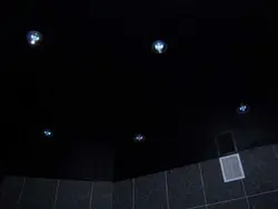 Photo of a black bathroom ceiling