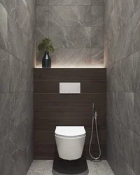Design of toilets in the house and apartment