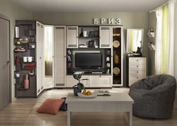 Walls With A Corner Wardrobe For The Living Room In A Modern Style Photo