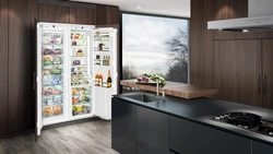 Kitchen design with refrigerator and freezer