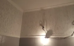 Стены короедом в квартире фото