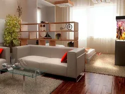 Living room interior divided into zones