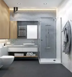 Bathroom And Toilet In Gray Tones Photo