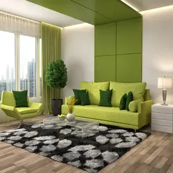 White green living room interior