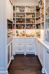 Kitchen In Pantry Design Photo