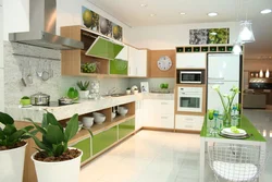 Kitchen interior with green floor