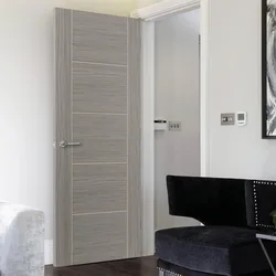 Light gray doors in the apartment interior photo