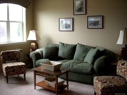 Қонақ бөлмесінің интерьеріндегі жасыл диван және интерьердегі фото перделер