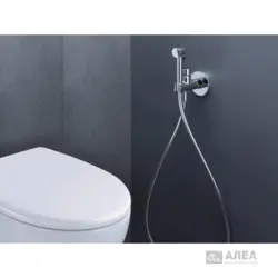 Interyerdə banyoda gigiyenik duş