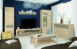 Oak color in the living room interior