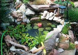 Pond At The Dacha With Your Own From The Bath Photo