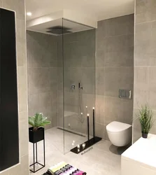 Bathroom Design Without Bathtub With Tray